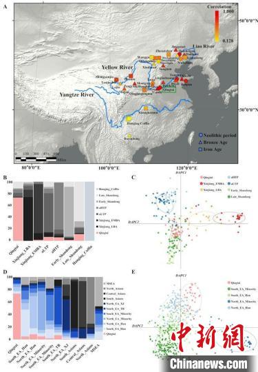 仰韶文化人群和现代人群有何关系？ 古DNA揭示存在母系遗传联系