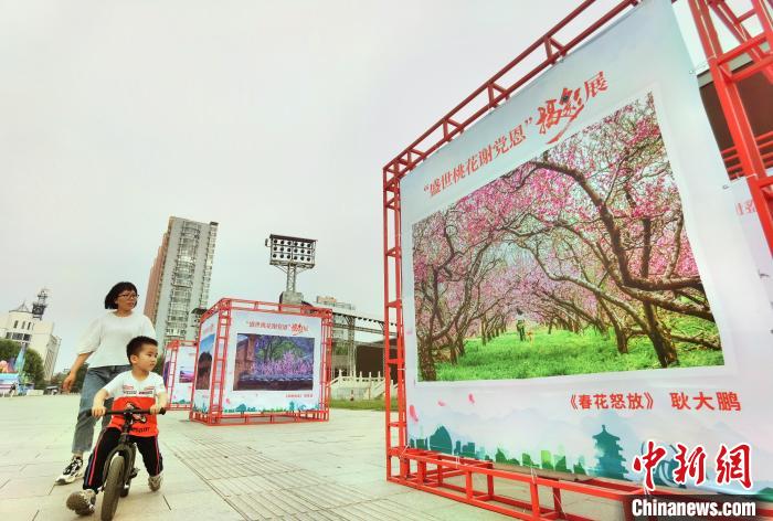 用光影定格盛世桃花 北京举办庆祝建党百年摄影展