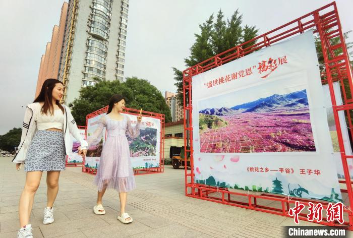 用光影定格盛世桃花 北京举办庆祝建党百年摄影展